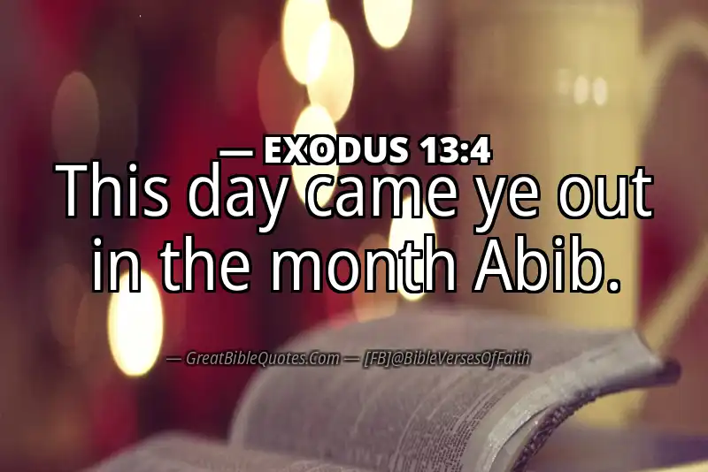 EXODUS 13:4 Verse