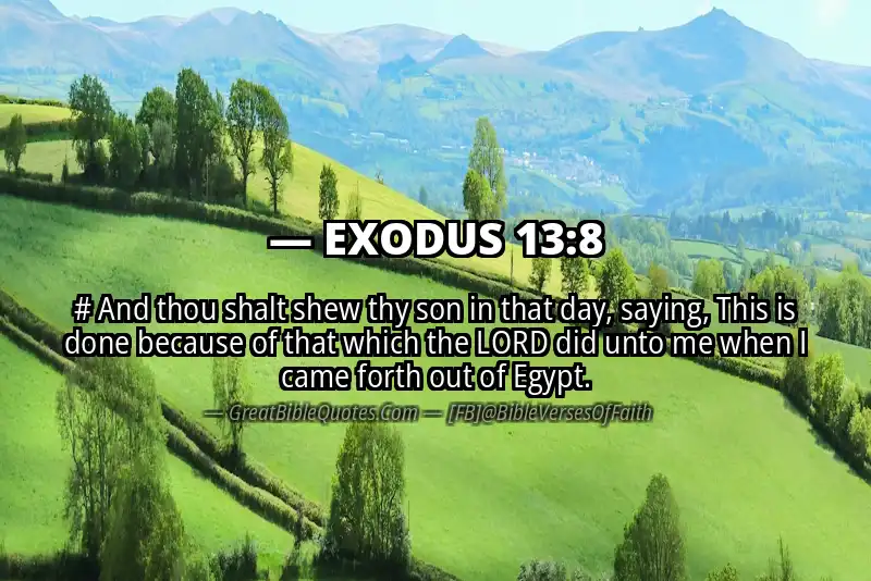 EXODUS 13:8 Verse Image