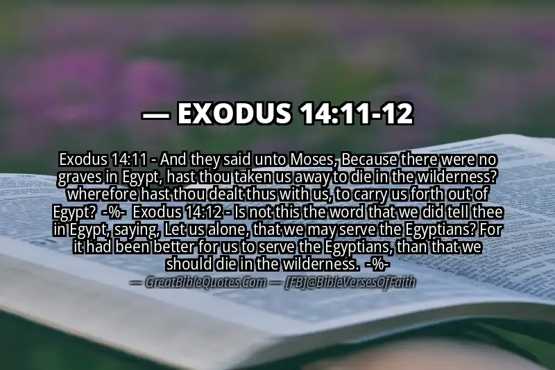 Image for EXODUS 14:11-12 Bible verse