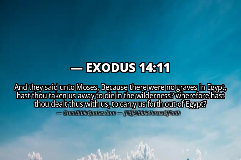 EXODUS 14:11 Verse Image
