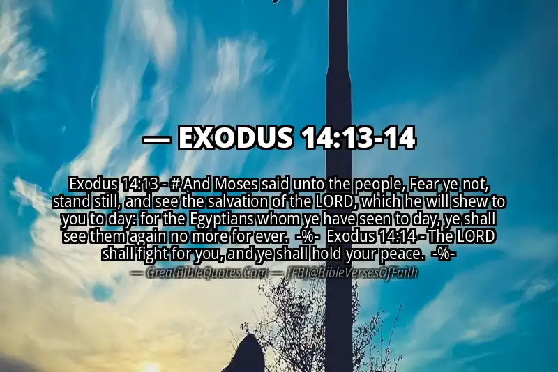 Image for EXODUS 14:13-14 Bible verse