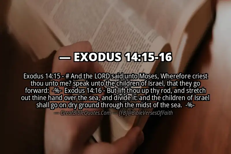 Image for EXODUS 14:15-16 Bible verse