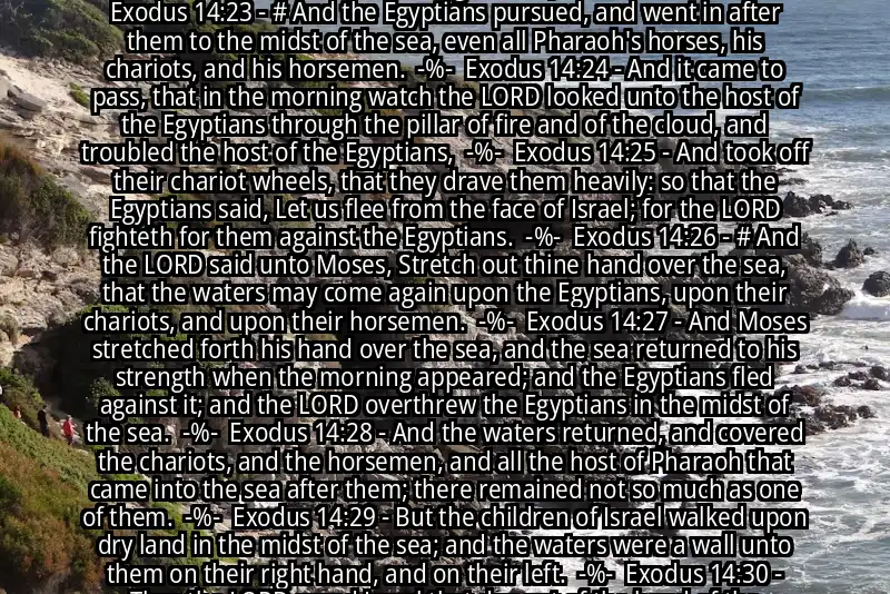Image for EXODUS 14:19-31 Bible verse