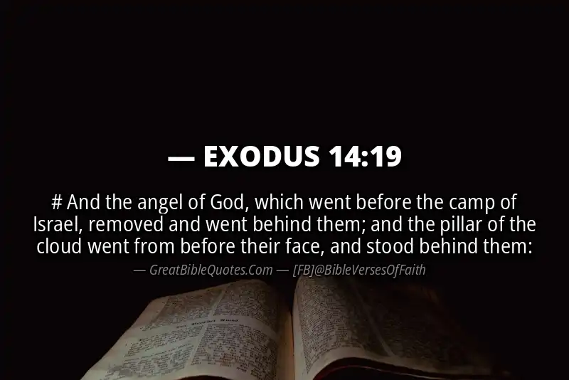 EXODUS 14:19 Verse