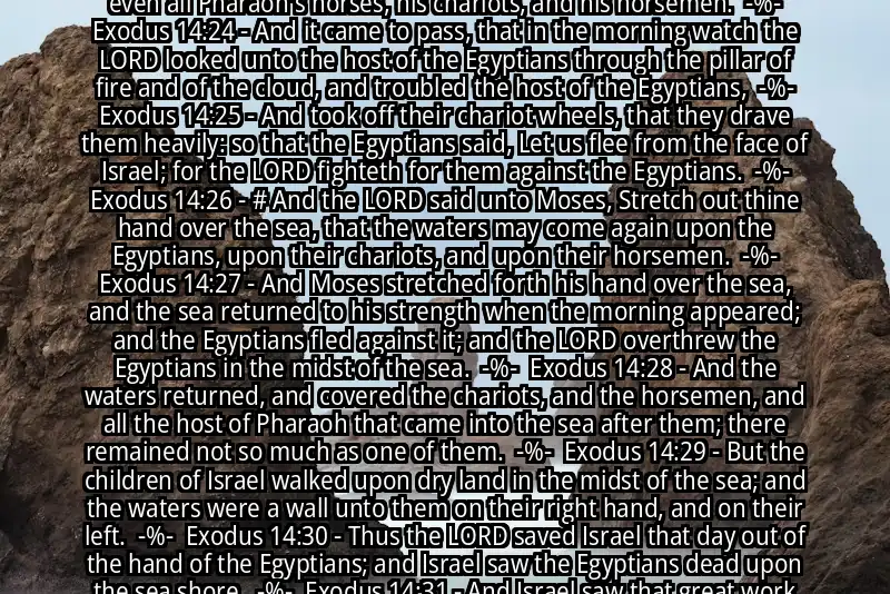 Image for EXODUS 14:21-31 Bible verse