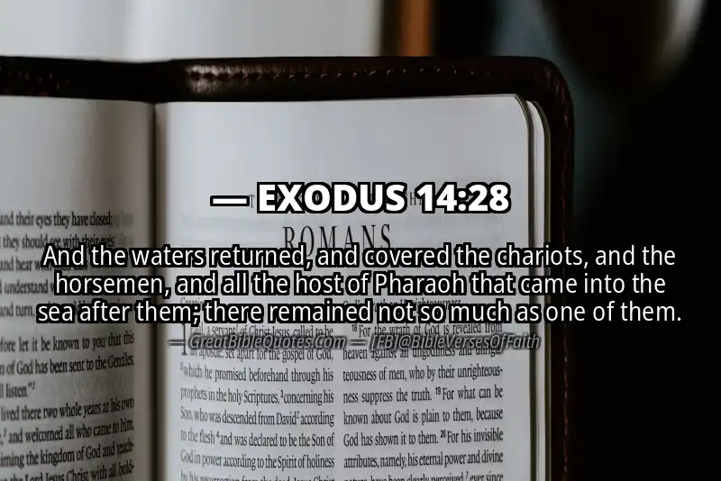 EXODUS 14:28 Verse