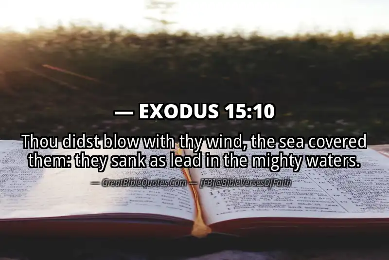 EXODUS 15:10 Verse
