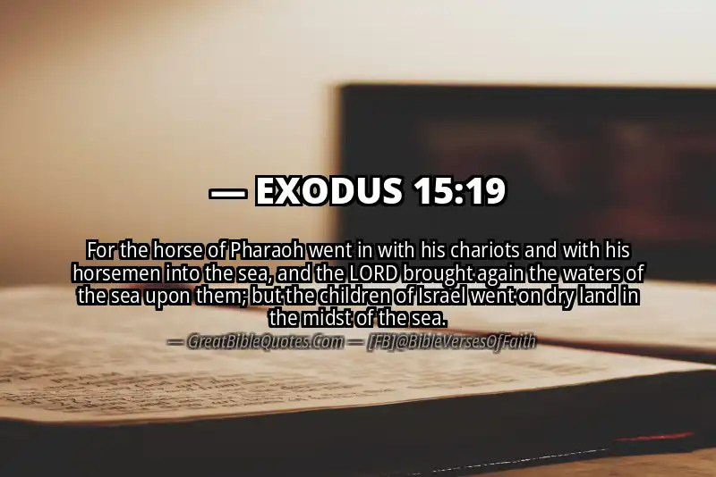EXODUS 15:19 Verse