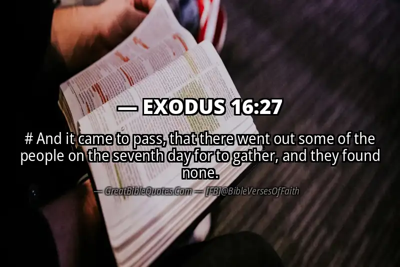EXODUS 16:27 Verse