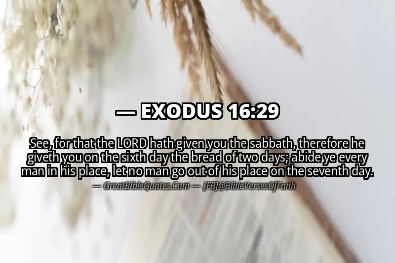 EXODUS 16:29 Verse