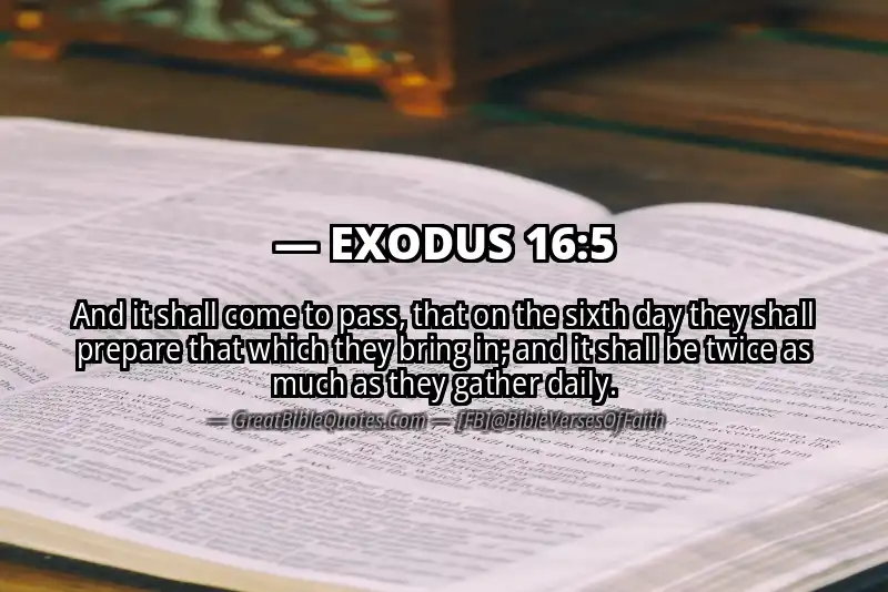 EXODUS 16:5 Verse