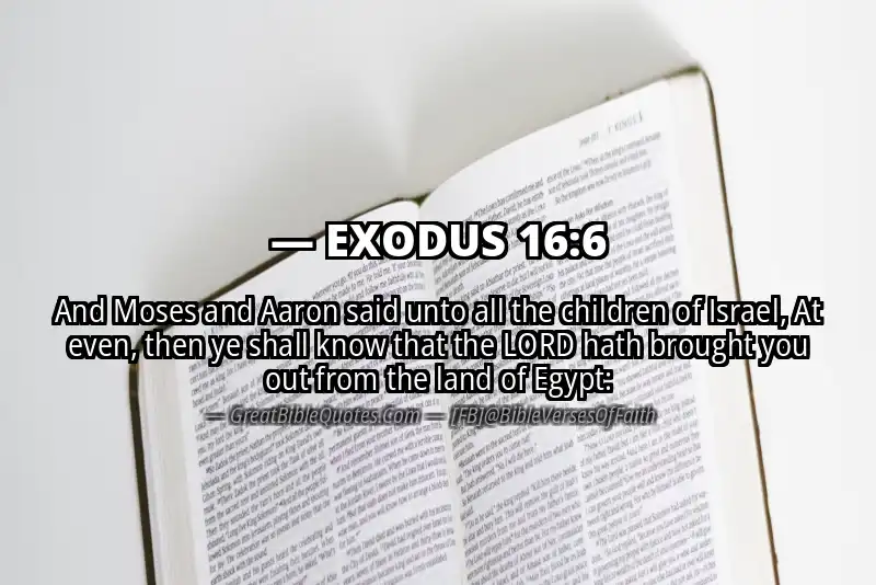 EXODUS 16:6 Verse
