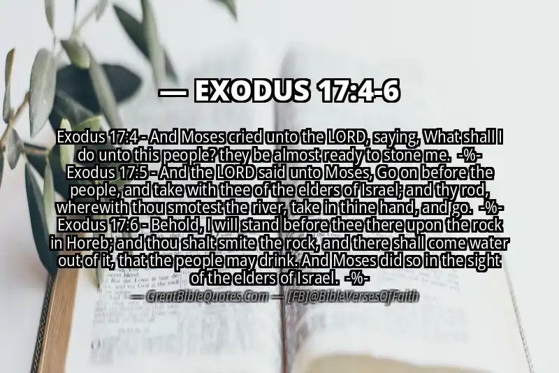 Image for EXODUS 17:4-6 Bible verse
