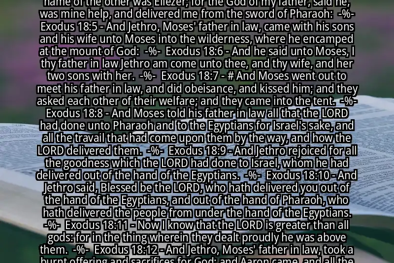 Image for EXODUS 18:1-12 Bible verse