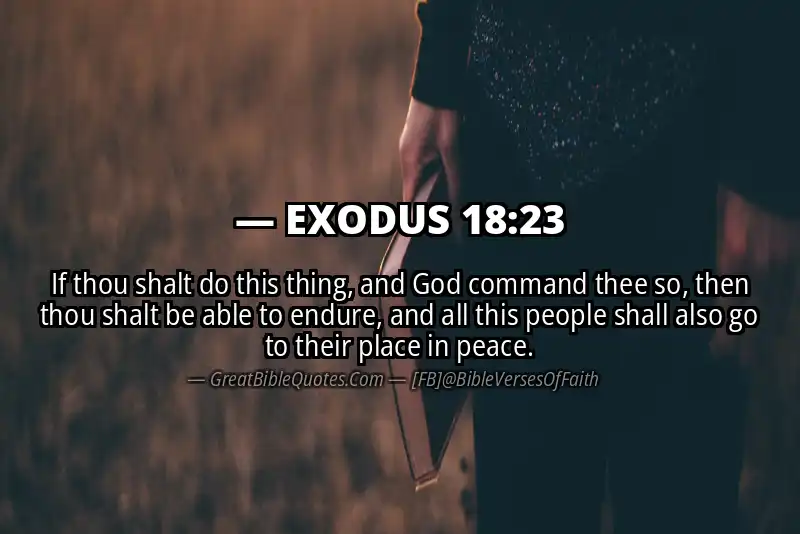 EXODUS 18:23 Verse