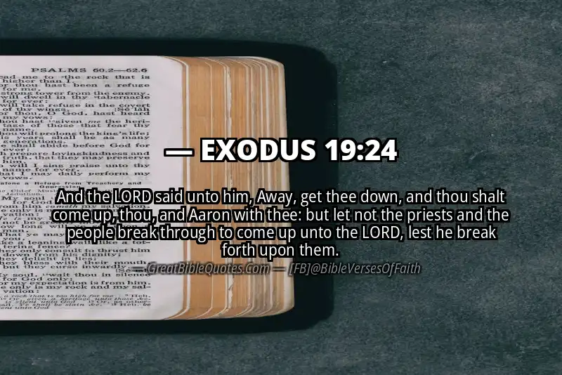 EXODUS 19:24 Verse