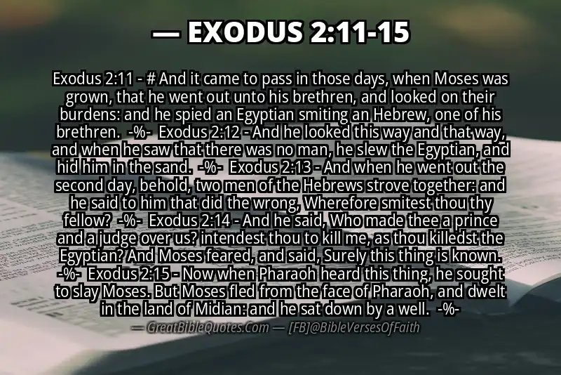Image for EXODUS 2:11-15 Bible verse
