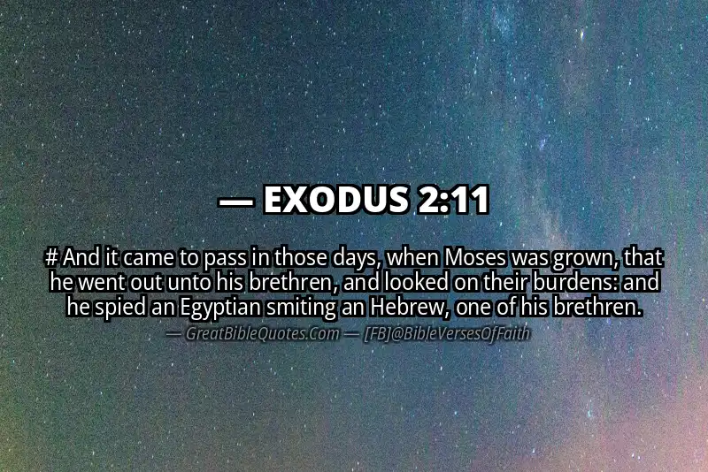 EXODUS 2:11 Verse
