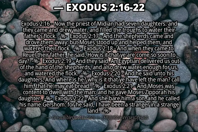 Image for EXODUS 2:16-22 Bible verse