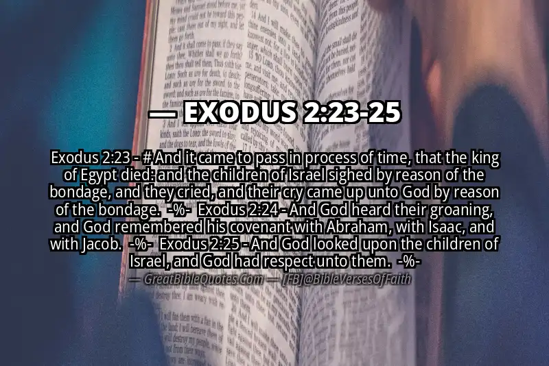 Image for EXODUS 2:23-25 Bible verse