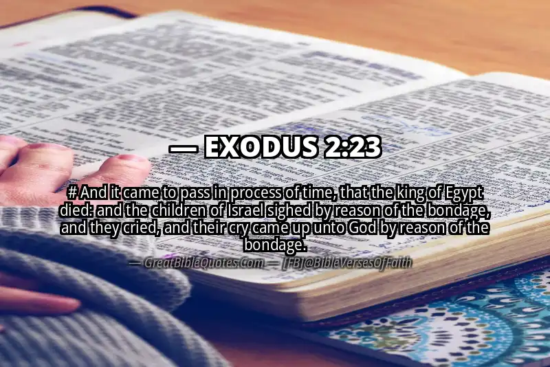EXODUS 2:23 Verse