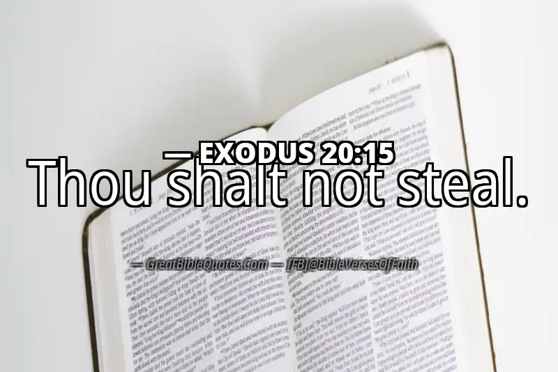 EXODUS 20:15 Verse
