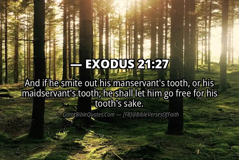 EXODUS 21:27 Verse