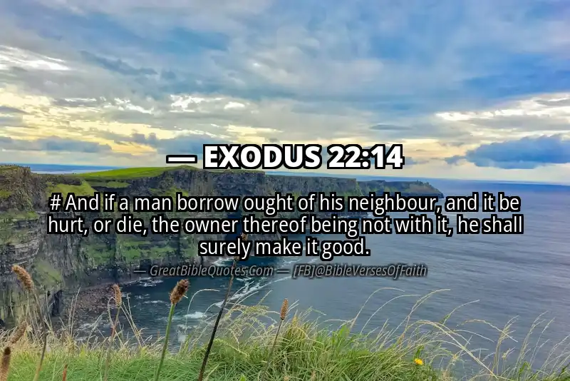 EXODUS 22:14 Verse