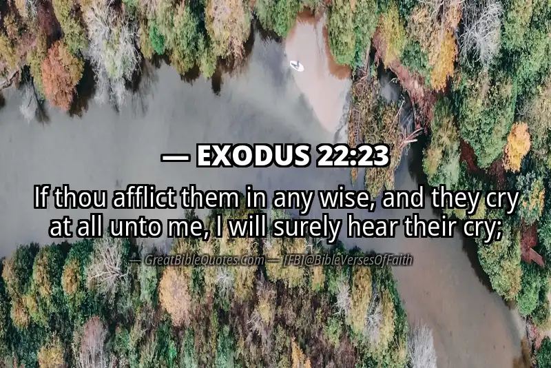 EXODUS 22:23 Verse