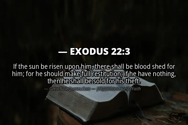 EXODUS 22:3 Verse Image