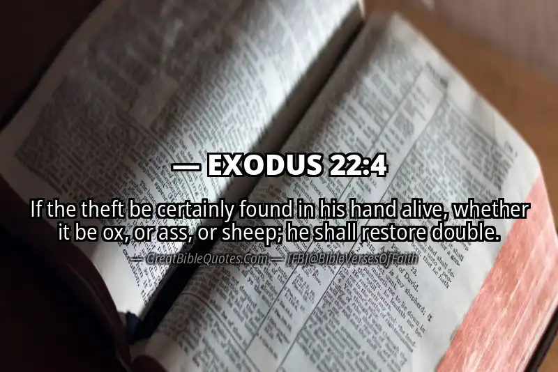 EXODUS 22:4 Verse