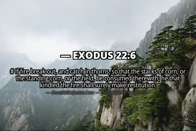 EXODUS 22:6 Verse