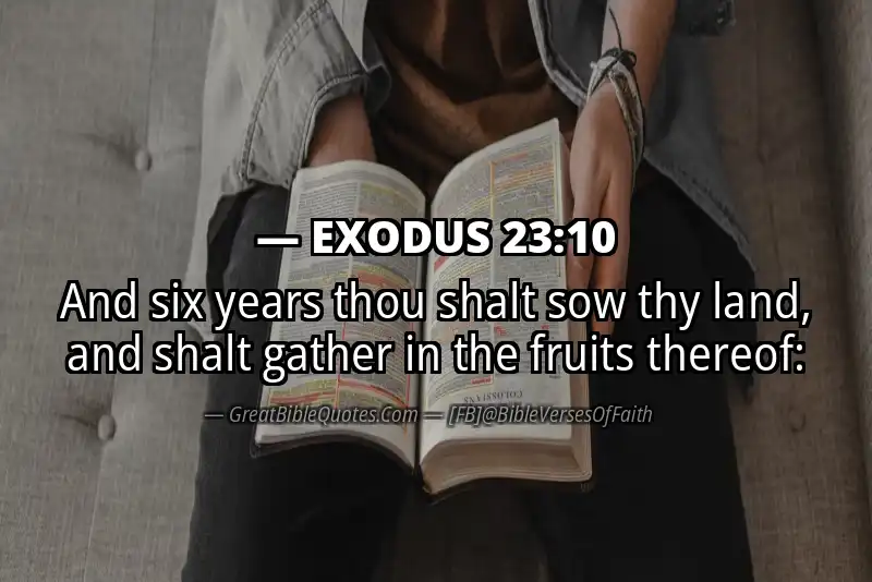 EXODUS 23:10 Verse