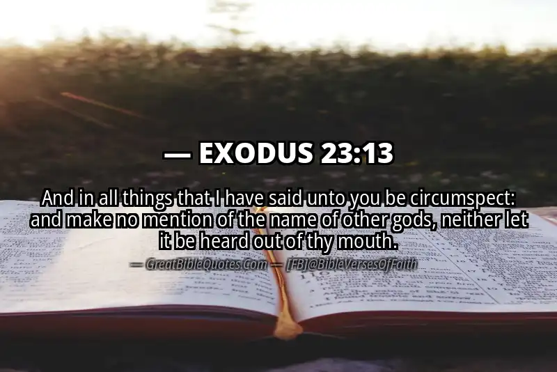 EXODUS 23:13 Verse