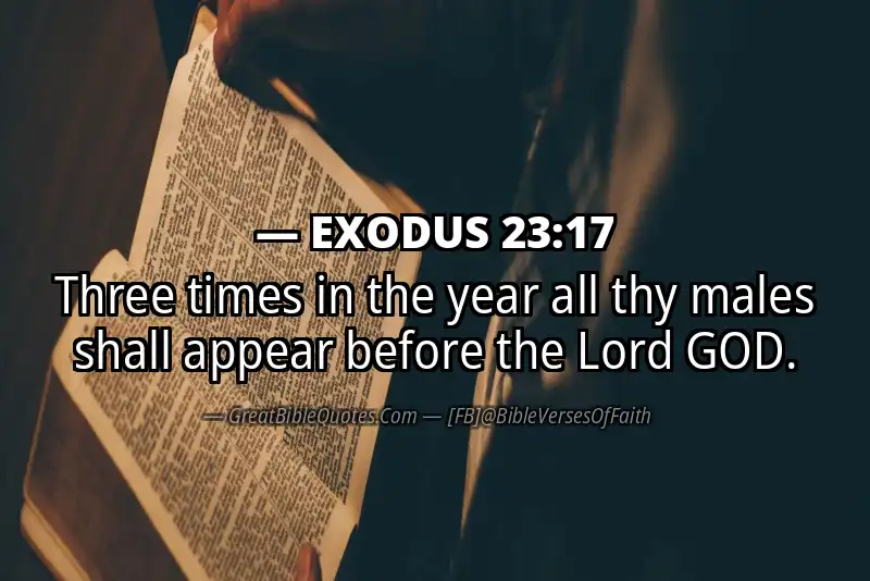 EXODUS 23:17 Verse