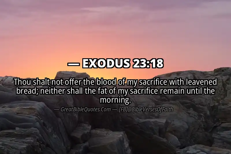 EXODUS 23:18 Verse