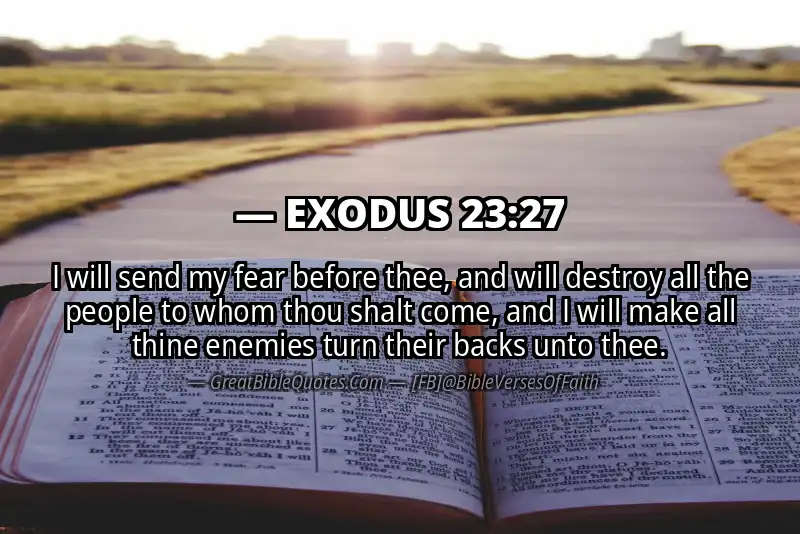 EXODUS 23:27 Verse