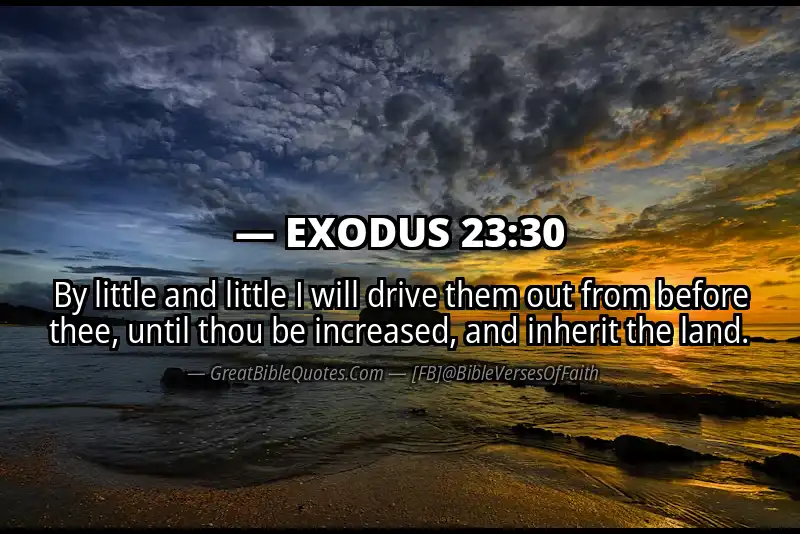 EXODUS 23:30 Verse