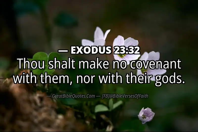 EXODUS 23:32 Verse