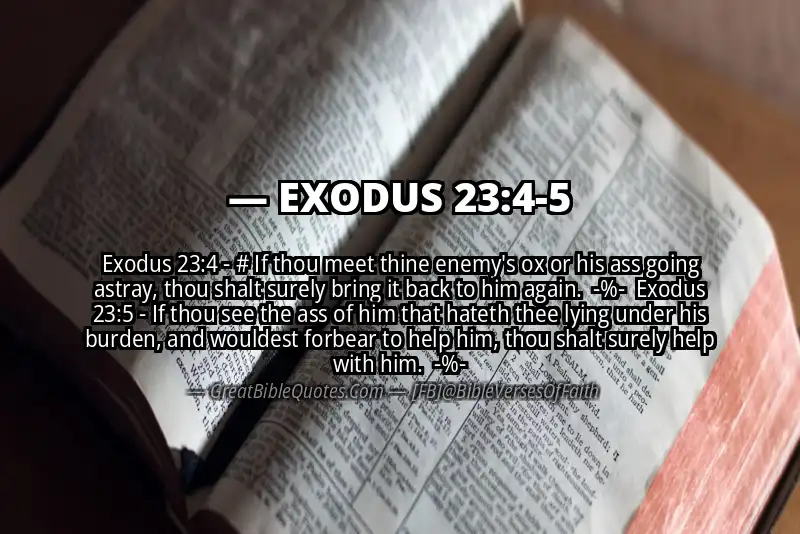 Image for EXODUS 23:4-5 Bible verse