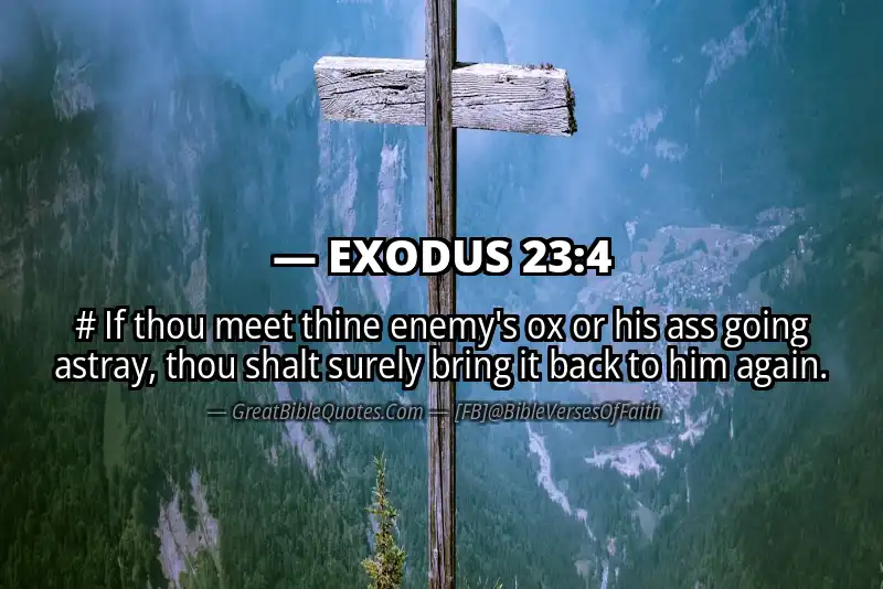 EXODUS 23:4 Verse