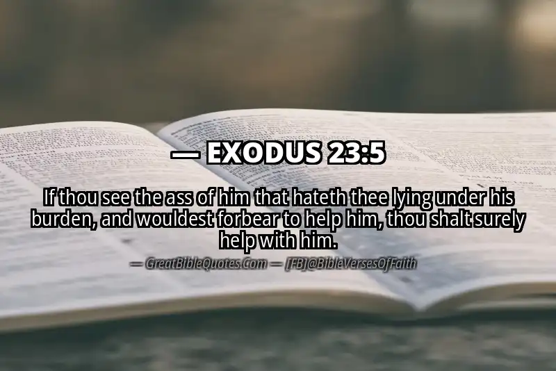 EXODUS 23:5 Verse