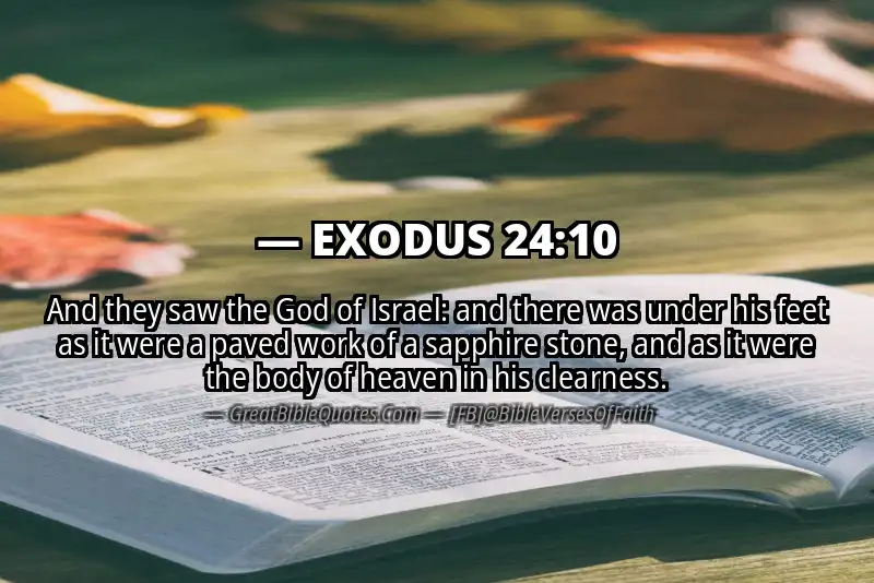 EXODUS 24:10 Verse