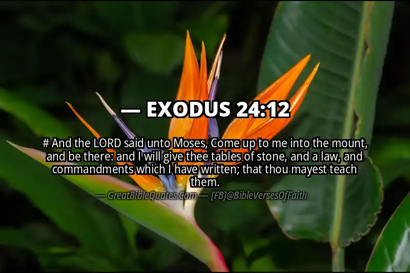 EXODUS 24:12 Verse