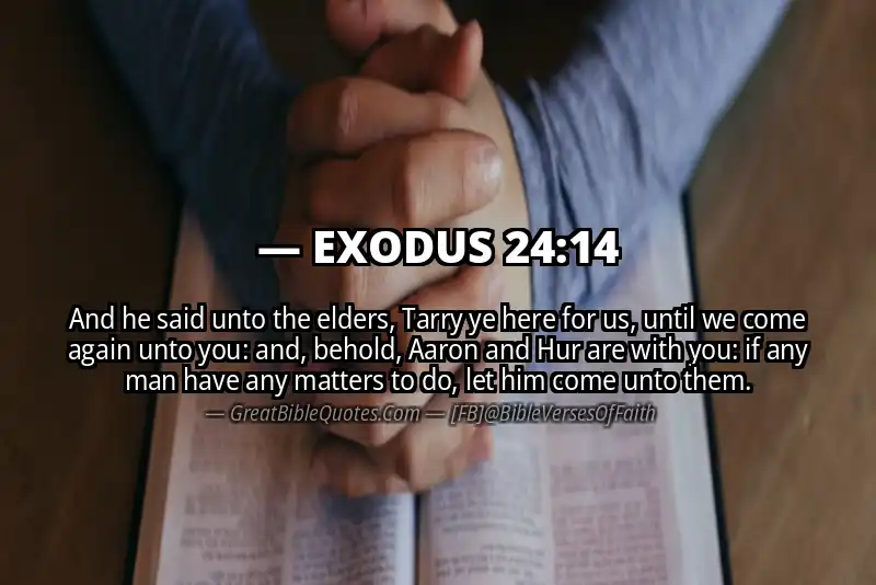 EXODUS 24:14 Verse