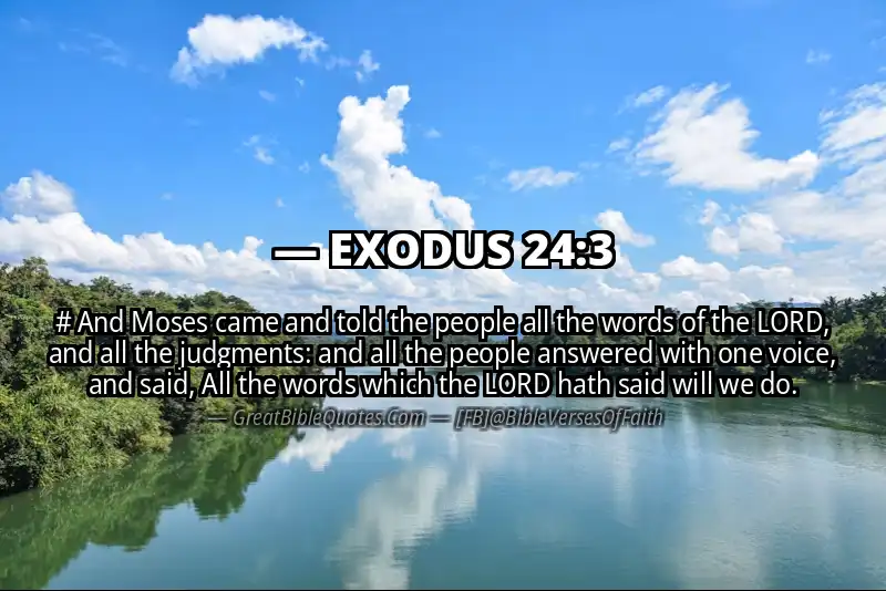 EXODUS 24:3 Verse Image