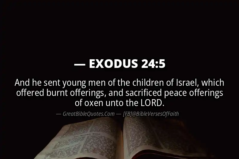 EXODUS 24:5 Verse