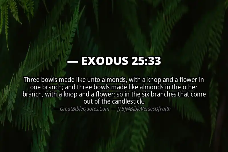 EXODUS 25:33 Verse