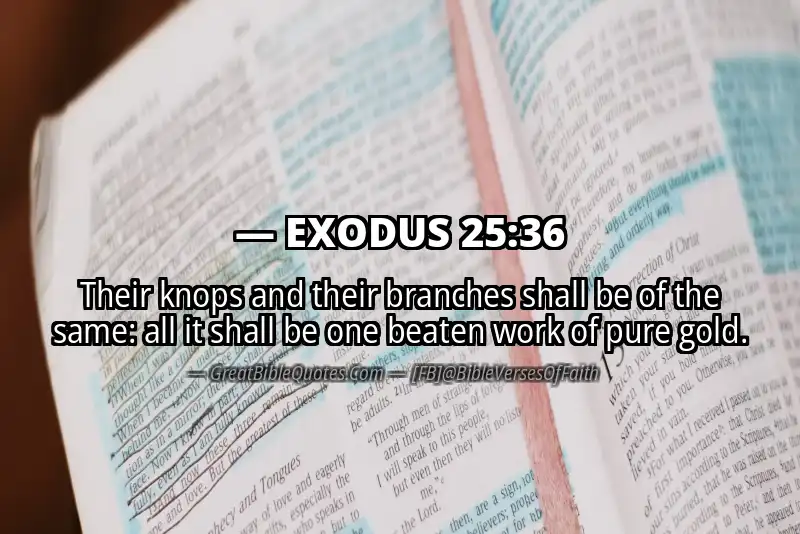 EXODUS 25:36 Verse