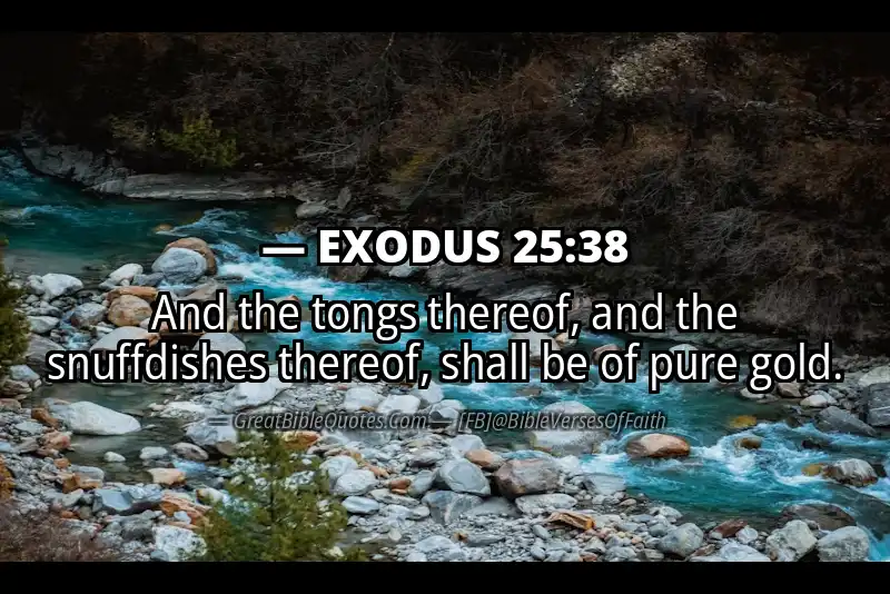 EXODUS 25:38 Verse